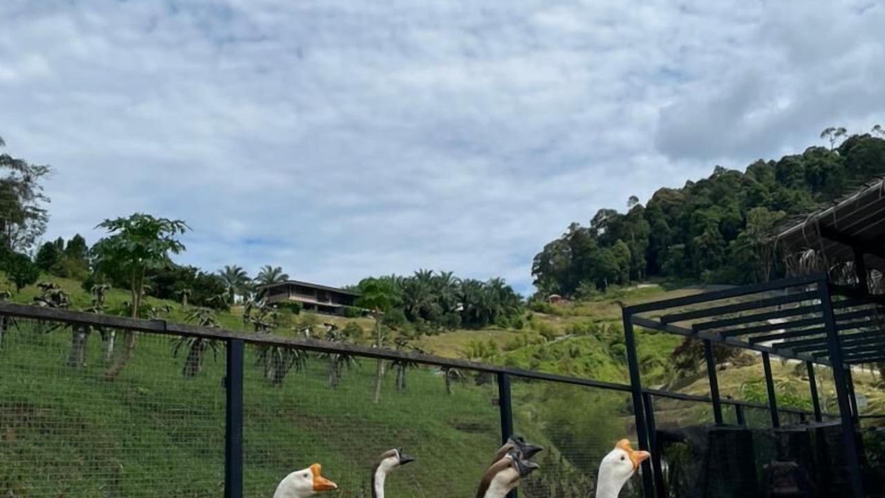 Photo of Outdoor in Kluang