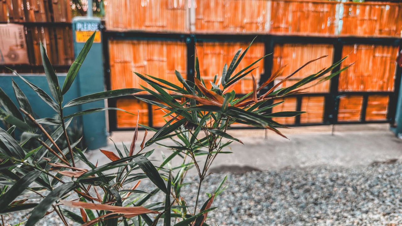 Photo of Outdoor in Bagac