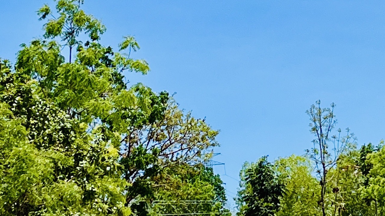 Photo of Outdoor in Daanbantayan