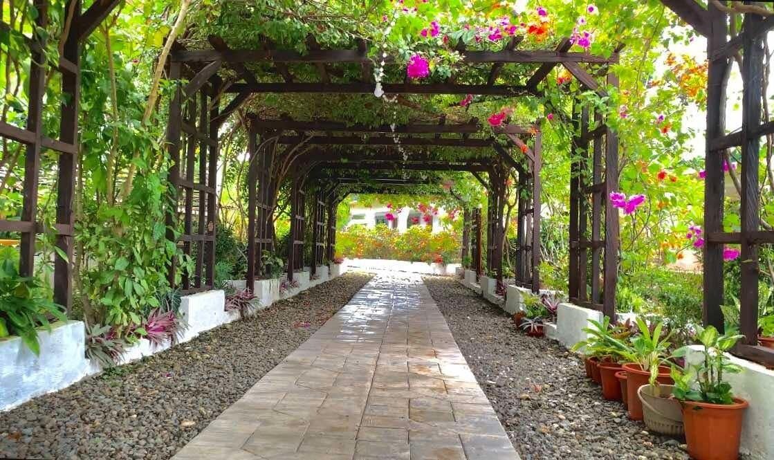 Photo of Outdoor in Daanbantayan