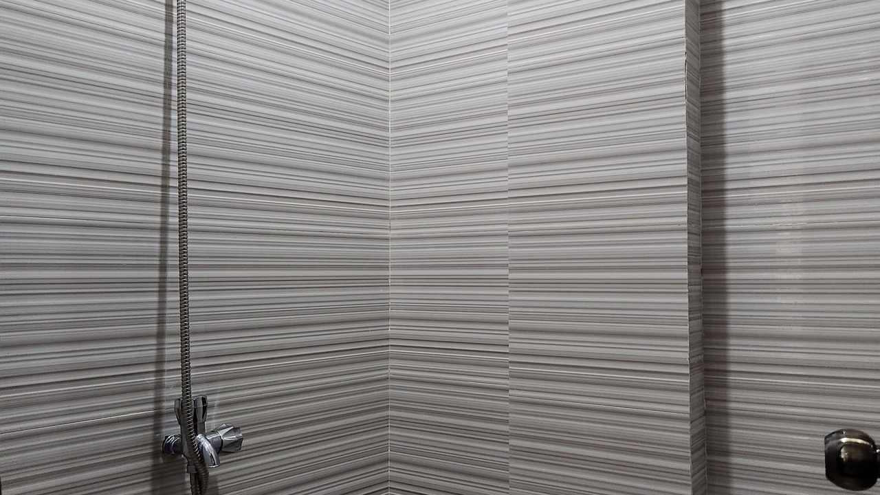 Photo of Bathroom in Badian