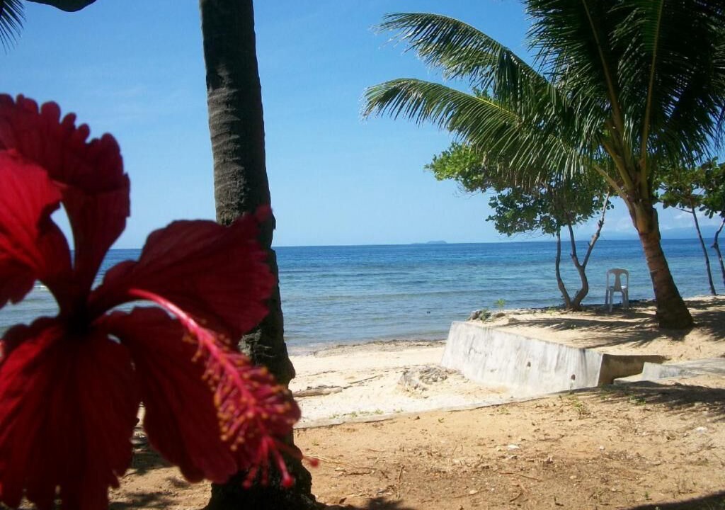 Photo of Outdoor in San Juan