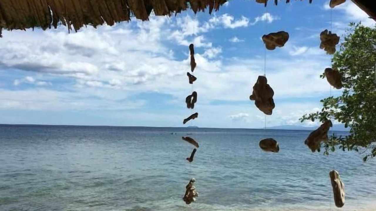 Photo of Others in San Juan