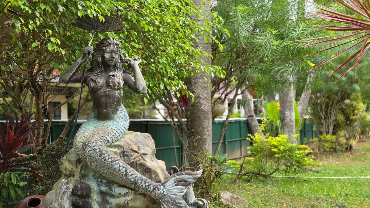 Photo of Outdoor in Tranca
