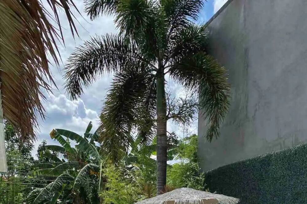 Photo of Outdoor in Lipa