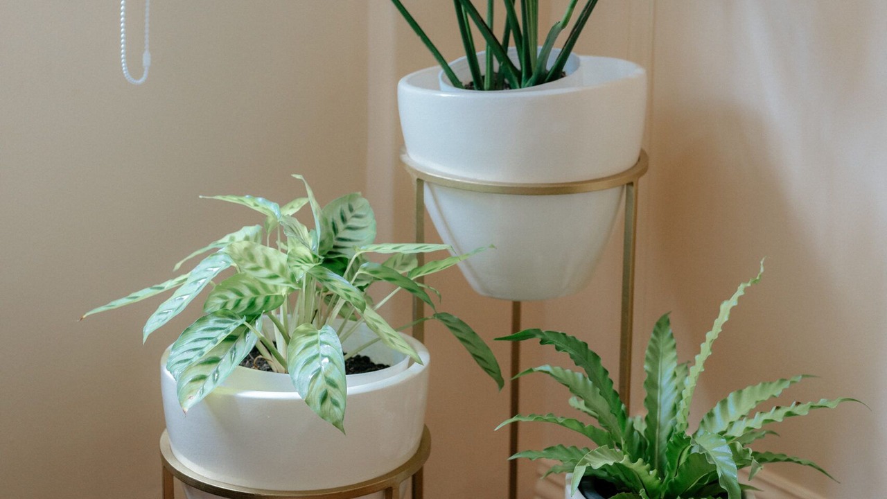 Photo of Others in Tagaytay