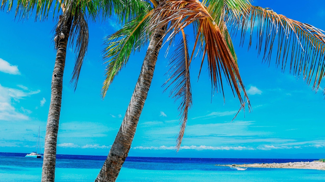 Photo of Outdoor in Badian