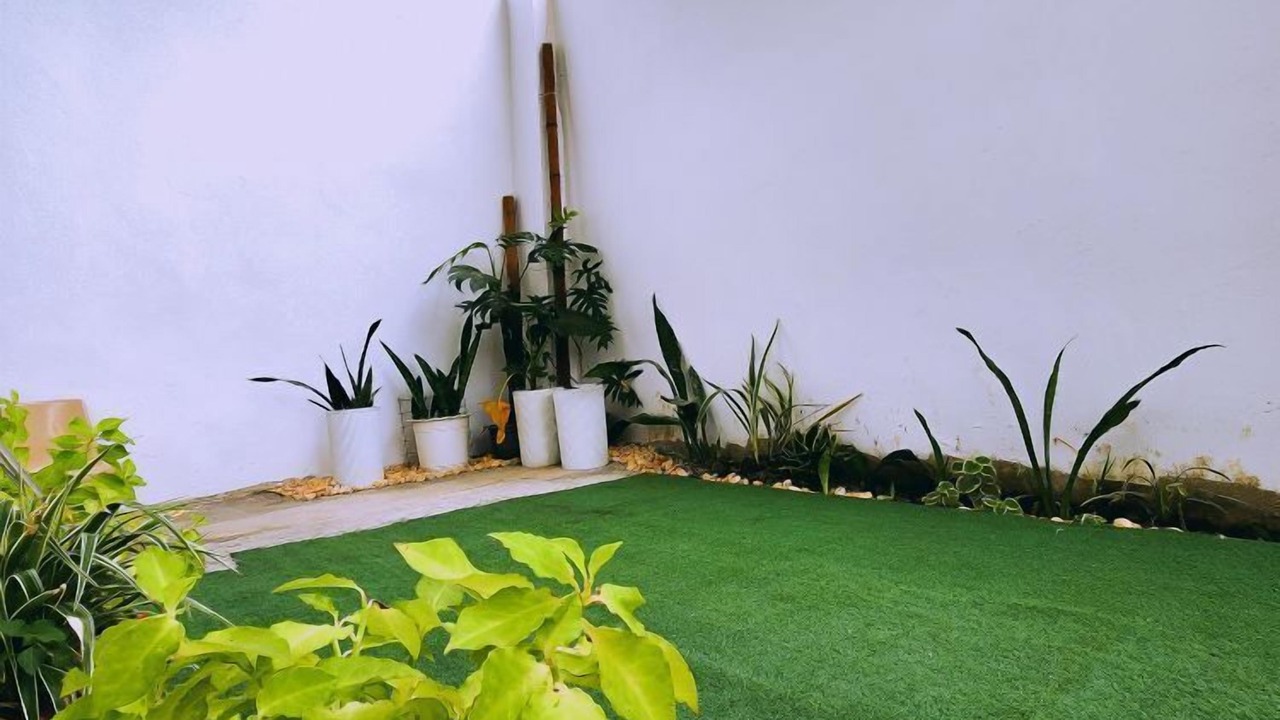 Photo of Others in Jaro