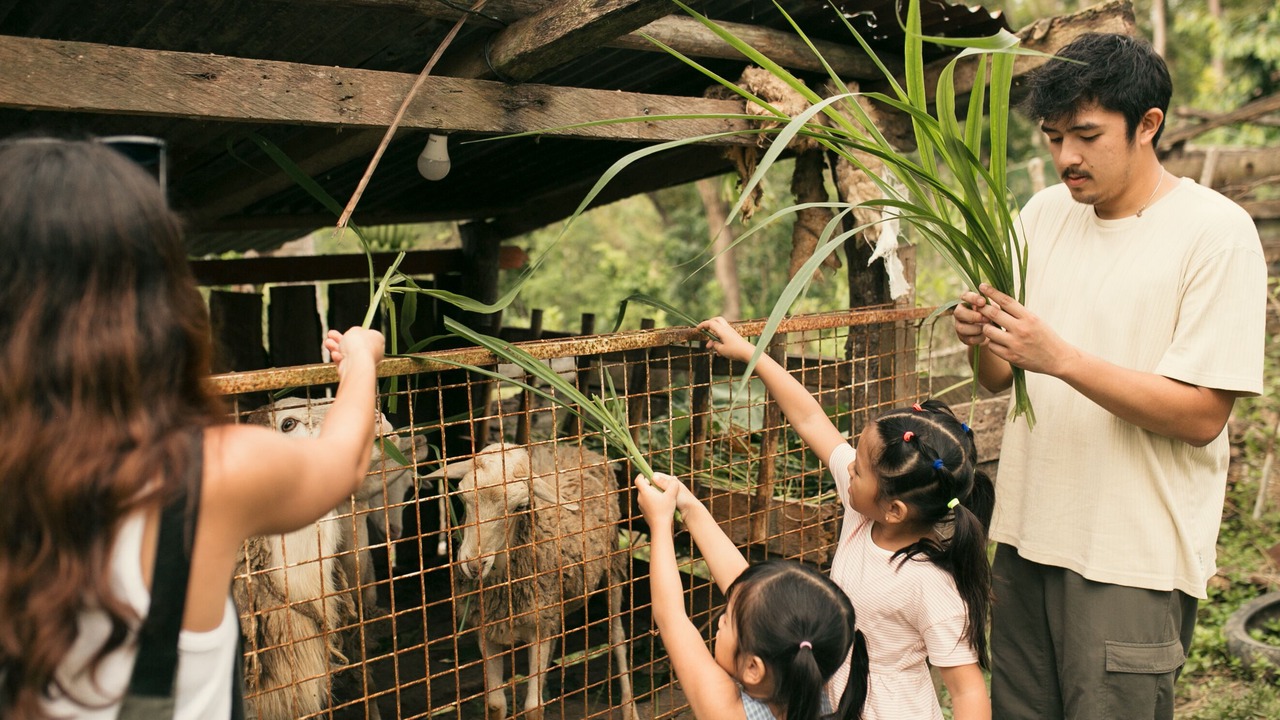 Photo of Outdoor in Aloguinsan