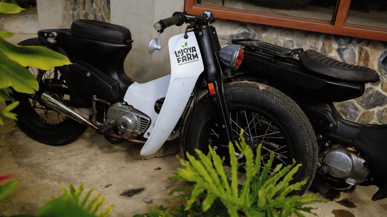 Photo of Outdoor in Aloguinsan