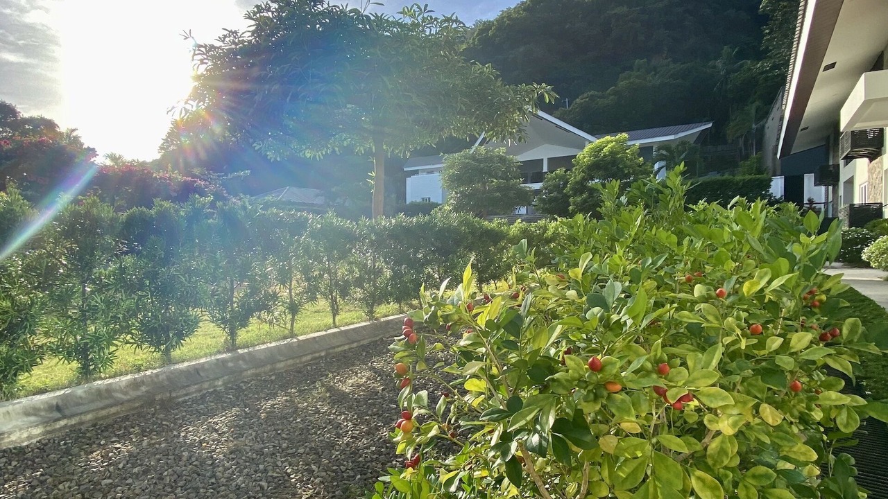 Photo of Outdoor in Mabini
