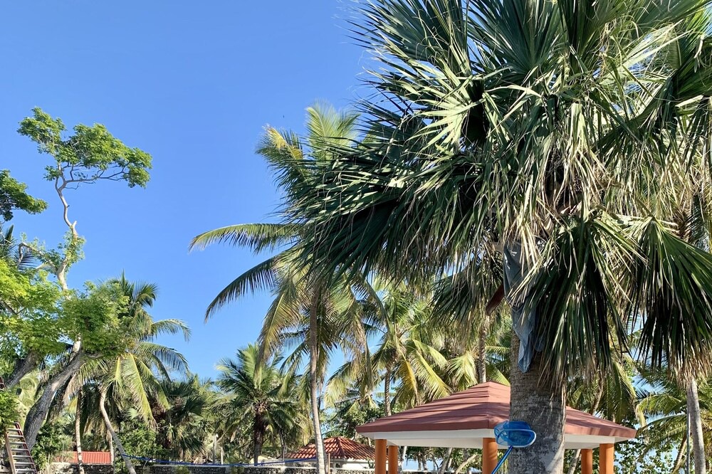 Photo of Outdoor in Villa Hermosa