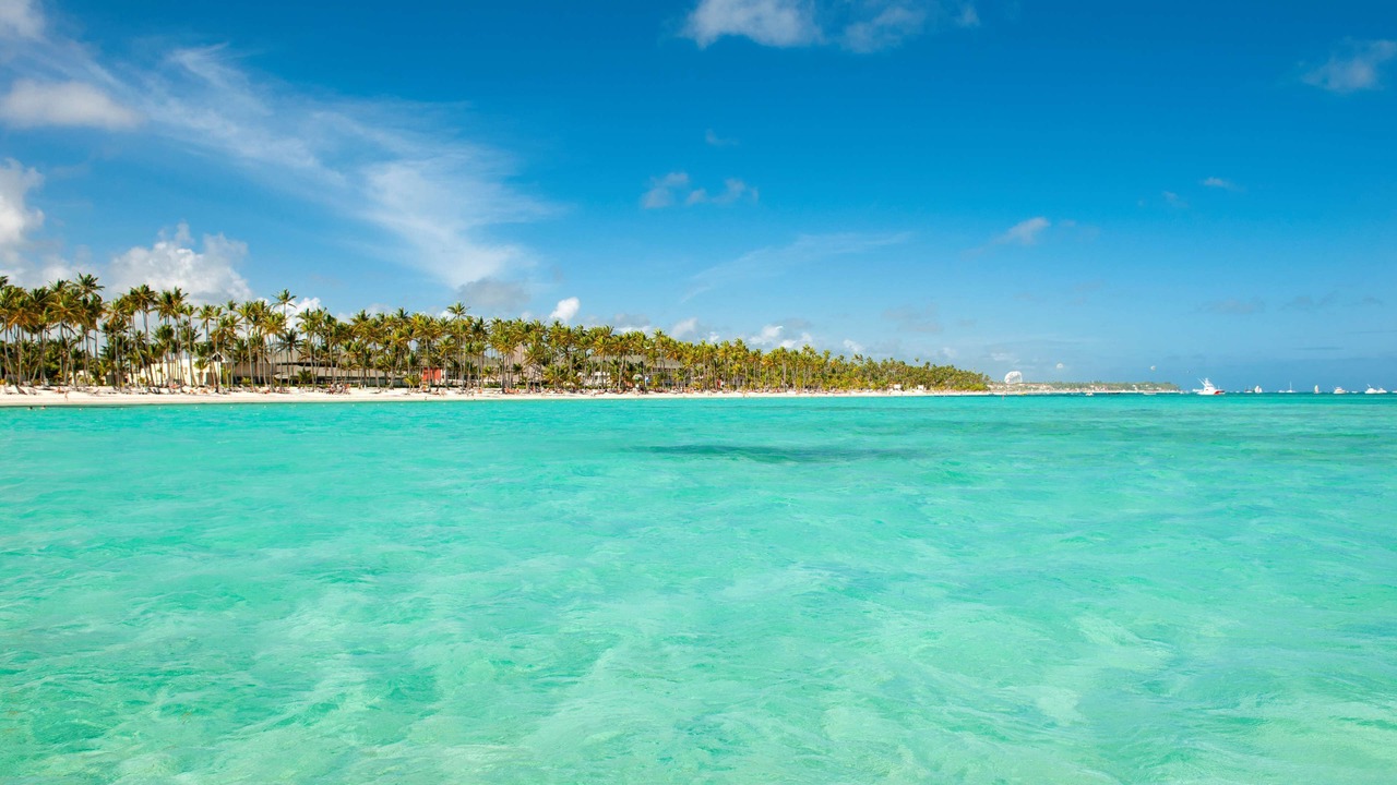 Photo of Others in Playa Bibijagua