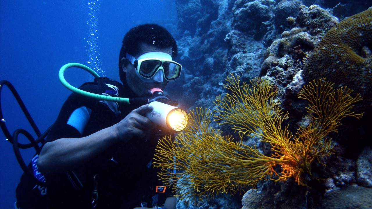 Photo of Others in Lapu-Lapu