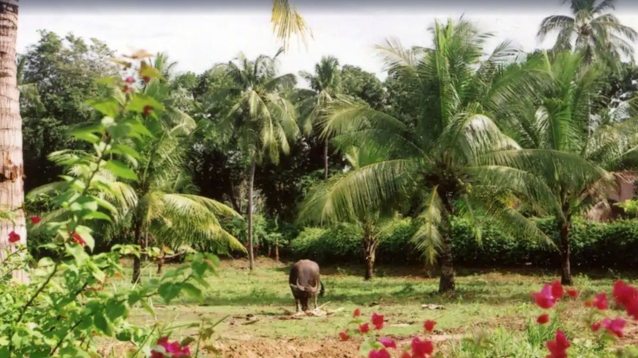 Photo of Outdoor in San Fernando