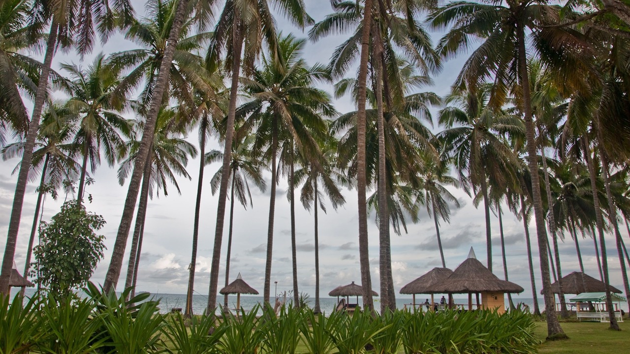 Photo of Outdoor in Narra