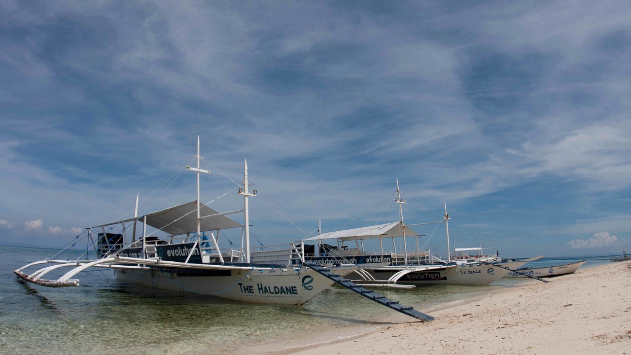 Photo of Others in Daanbantayan
