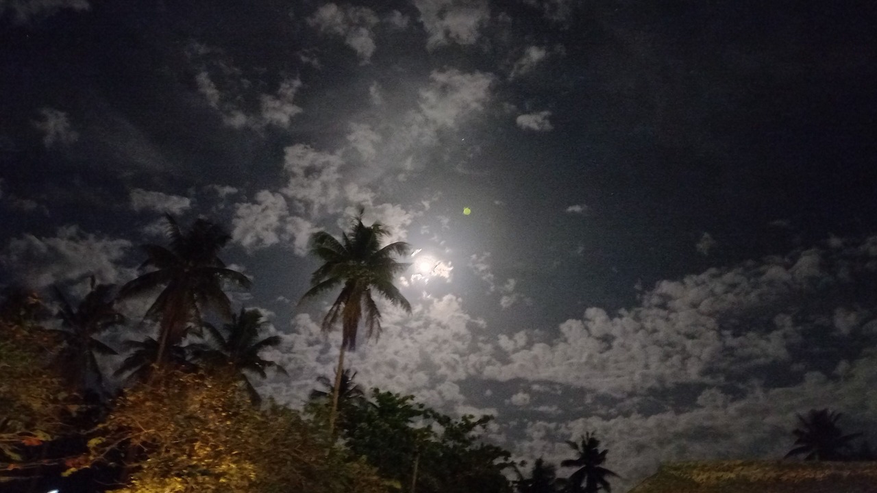 Photo of Outdoor in Donsol