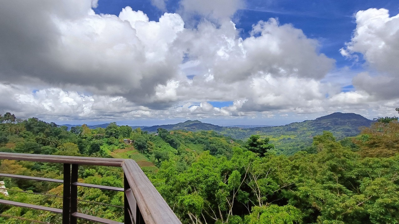 Photo of Outdoor in Cebu Island