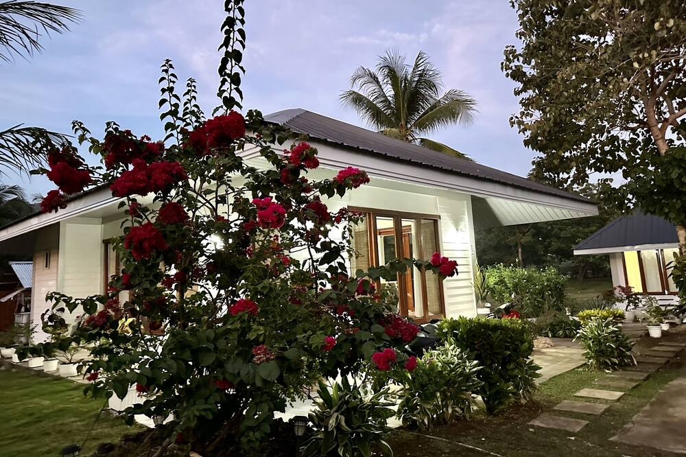 Photo of Outdoor in Anda