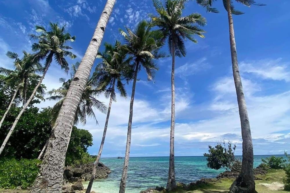Photo of Outdoor in Anda