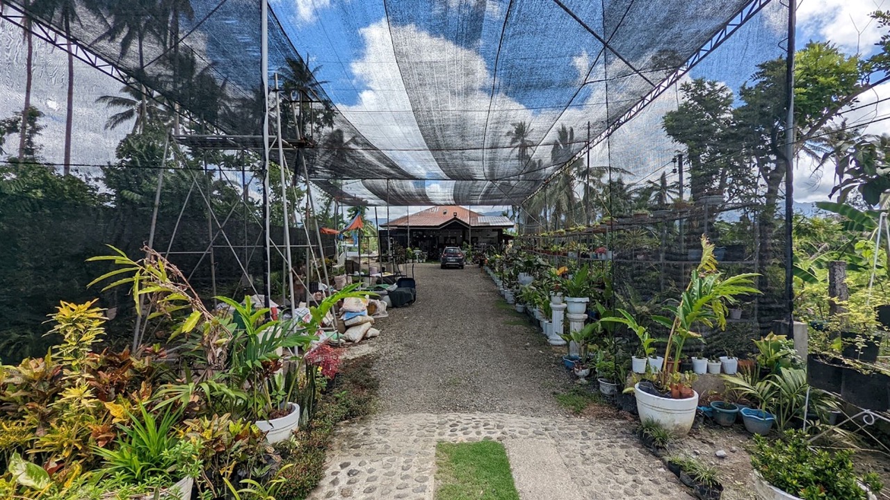 Photo of Outdoor in Tomas Oppus