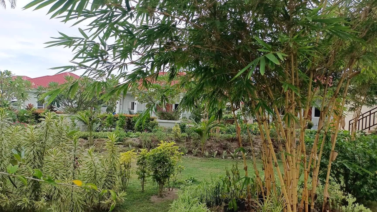 Photo of Outdoor in Zamboanguita