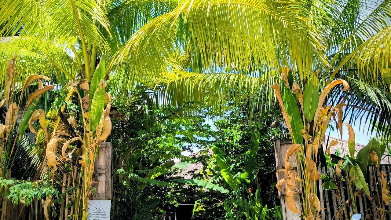 Photo of Outdoor in Catangnan