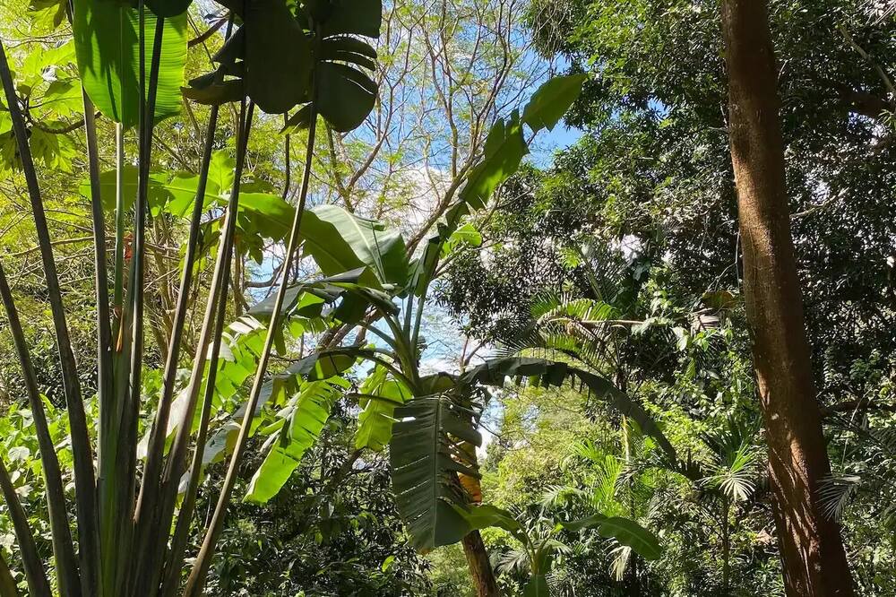 Photo of Outdoor in Olongapo