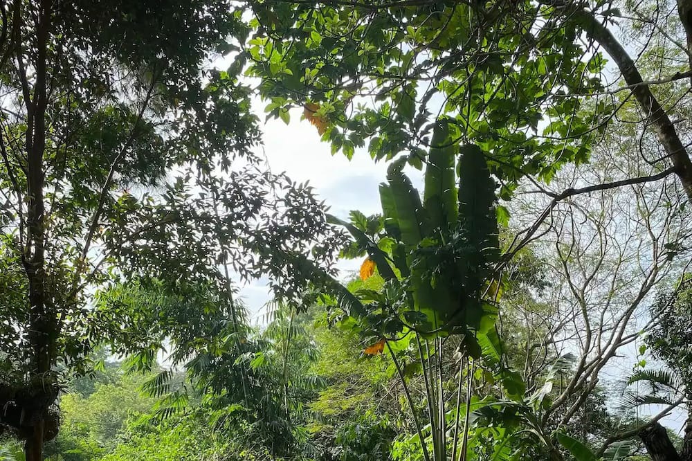 Photo of Outdoor in Olongapo