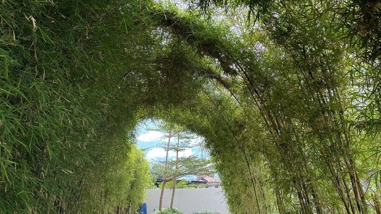Photo of Outdoor in Basak