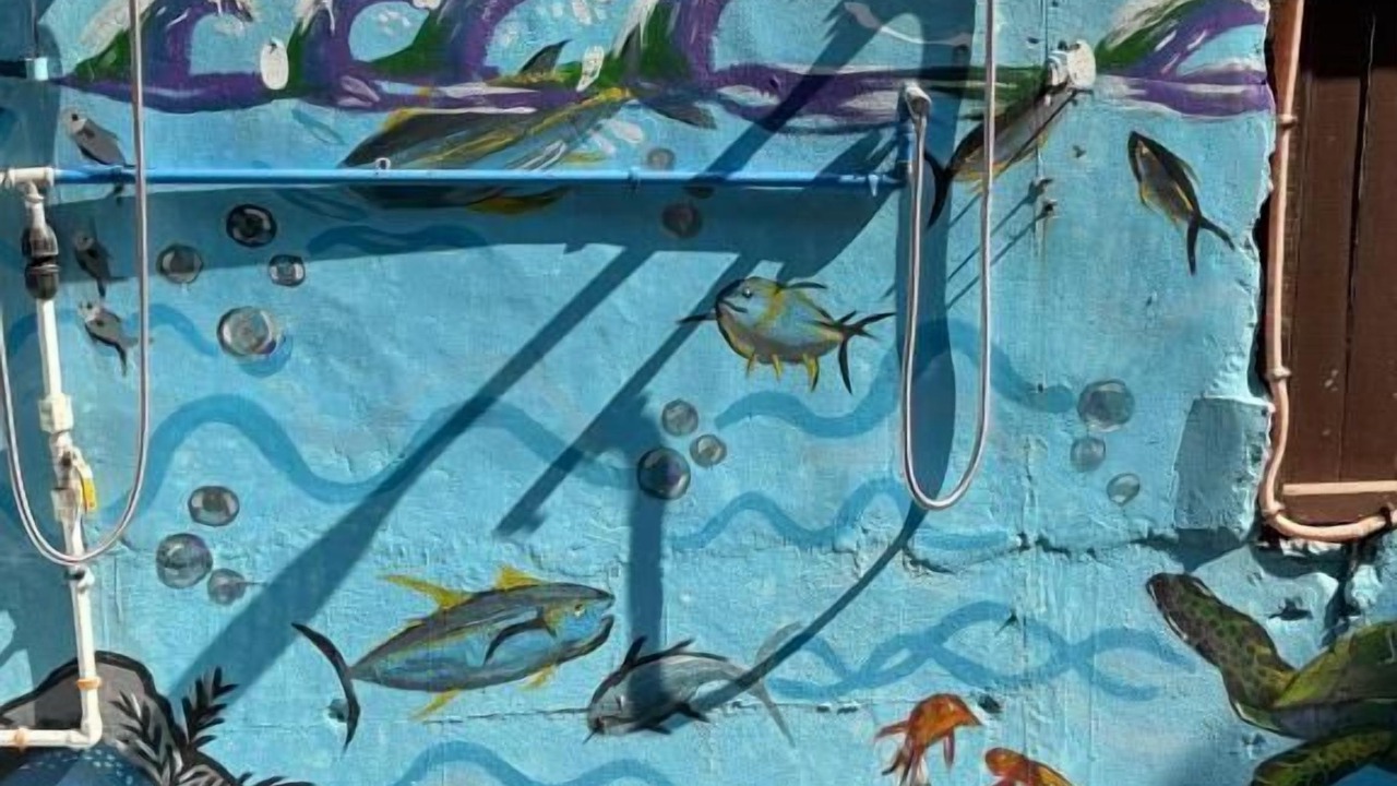 Photo of Outdoor in Mabini