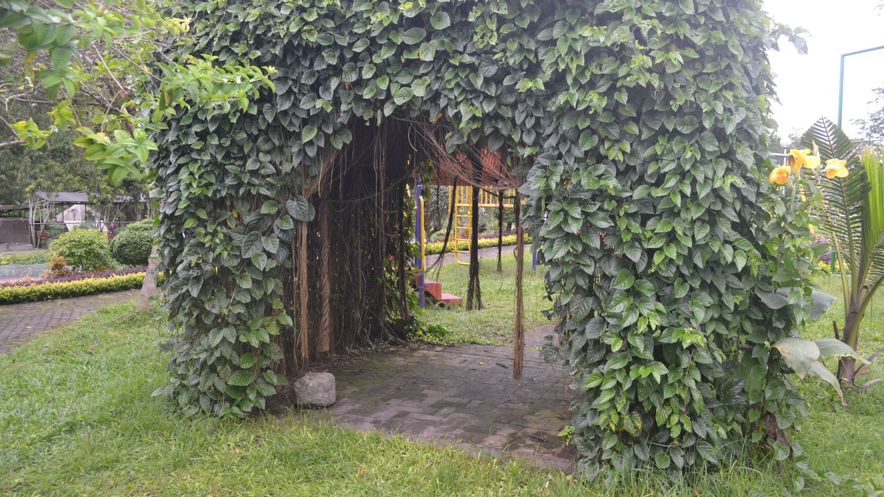 Photo of Outdoor in Polomolok