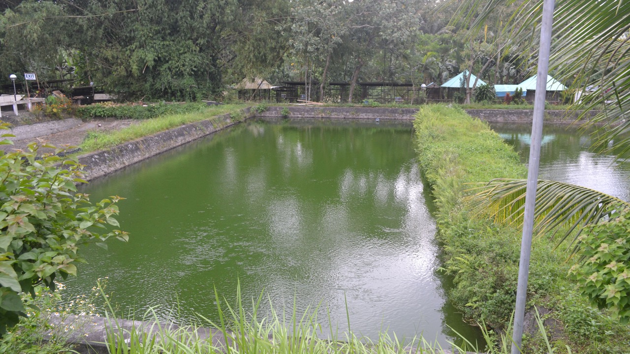 Photo of Outdoor in Polomolok