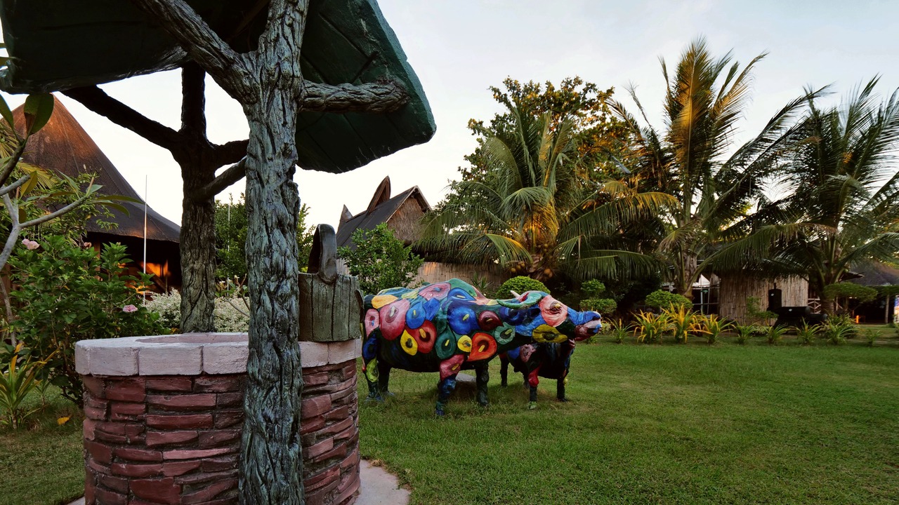 Photo of Outdoor in Zamboanguita