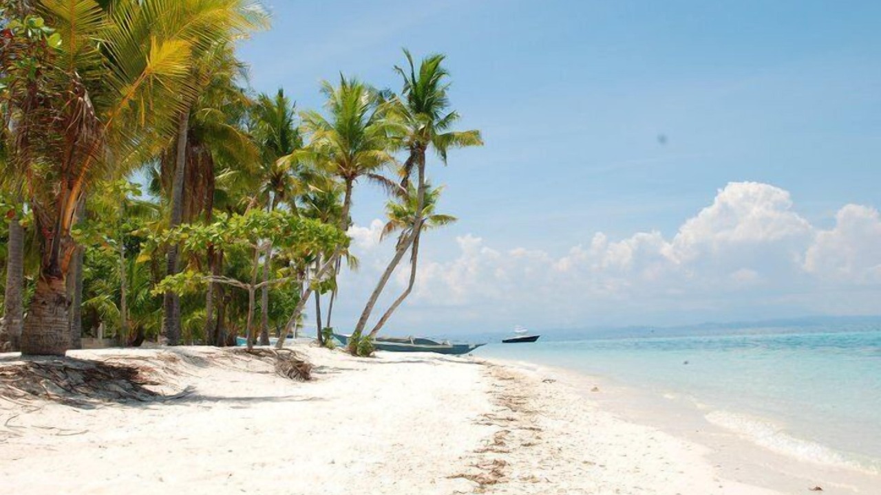 Photo of Others in Daanbantayan
