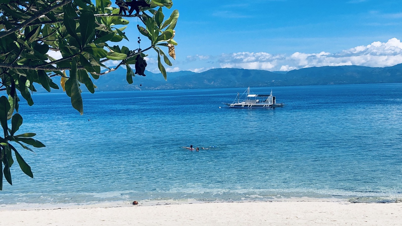 Photo of Others in Moalboal