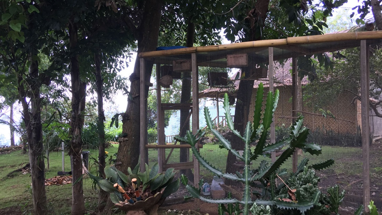 Photo of Outdoor in Guindulman