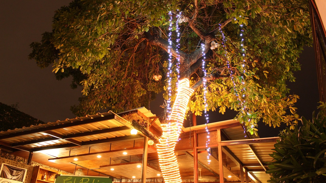 Photo of Patio Balcony in Paranaque