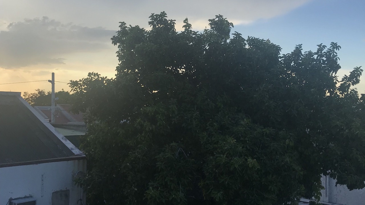 Photo of Others in Paranaque