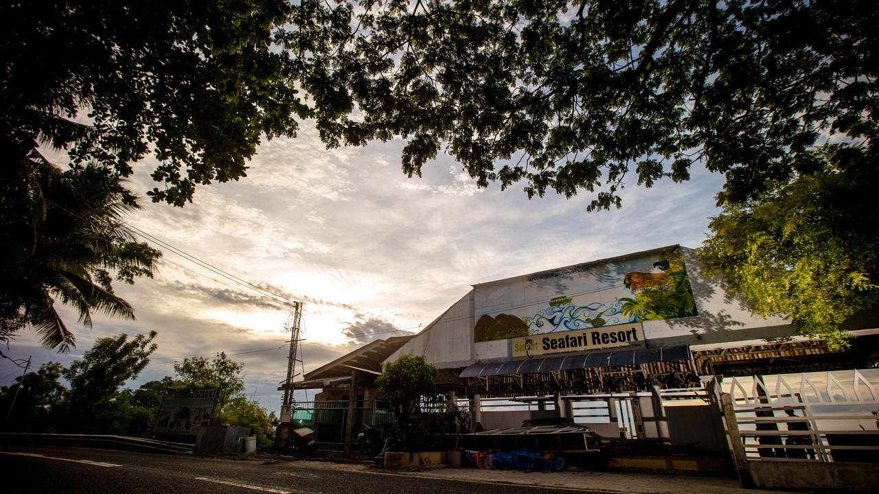 Photo of Others in Oslob