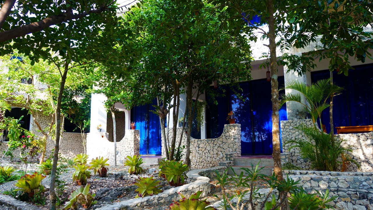 Photo of Others in Moalboal