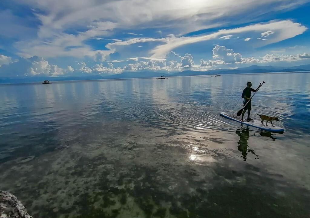 Photo of Others in Moalboal