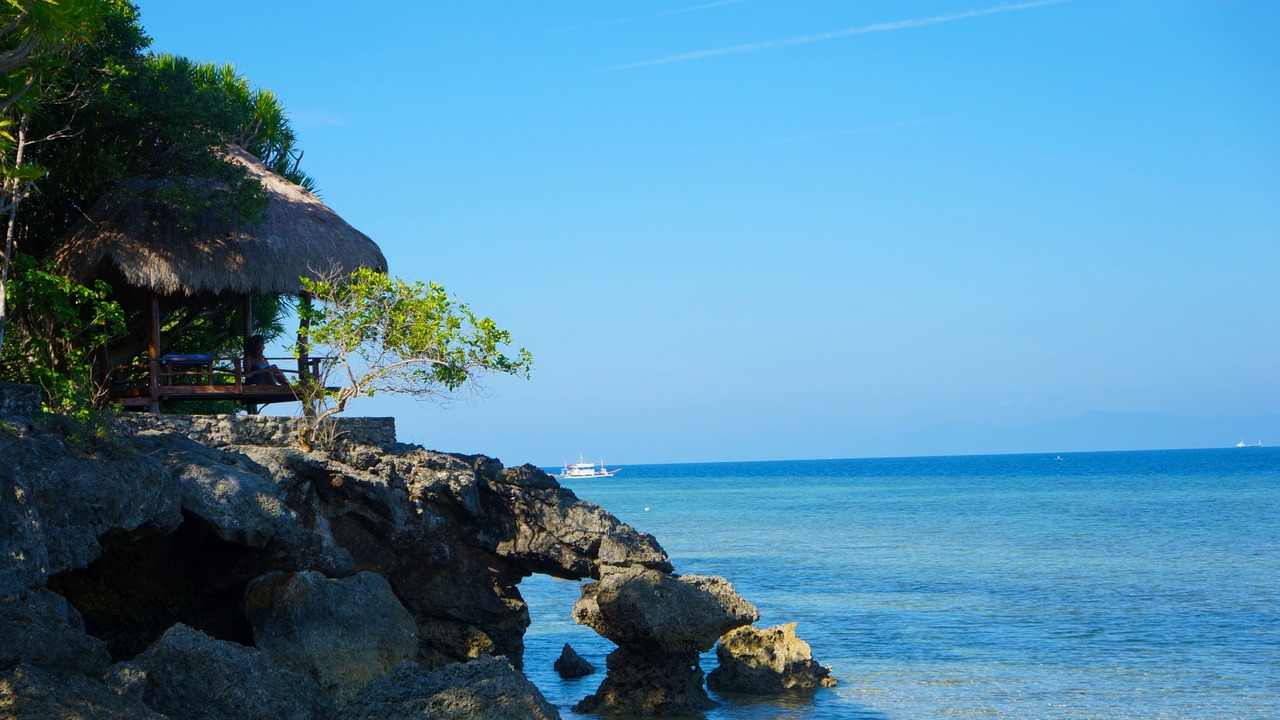 Photo of Others in Moalboal
