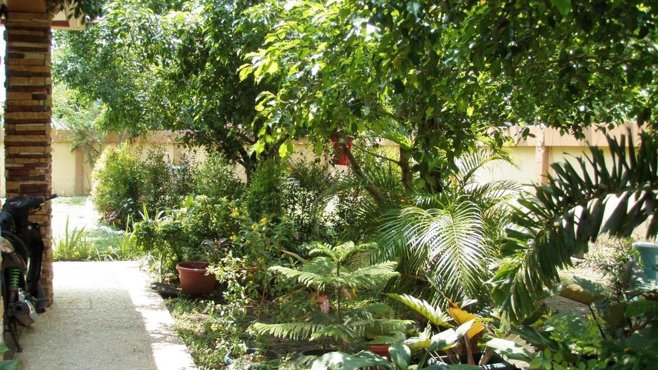 Photo of Outdoor in Puerto Princesa City Centre