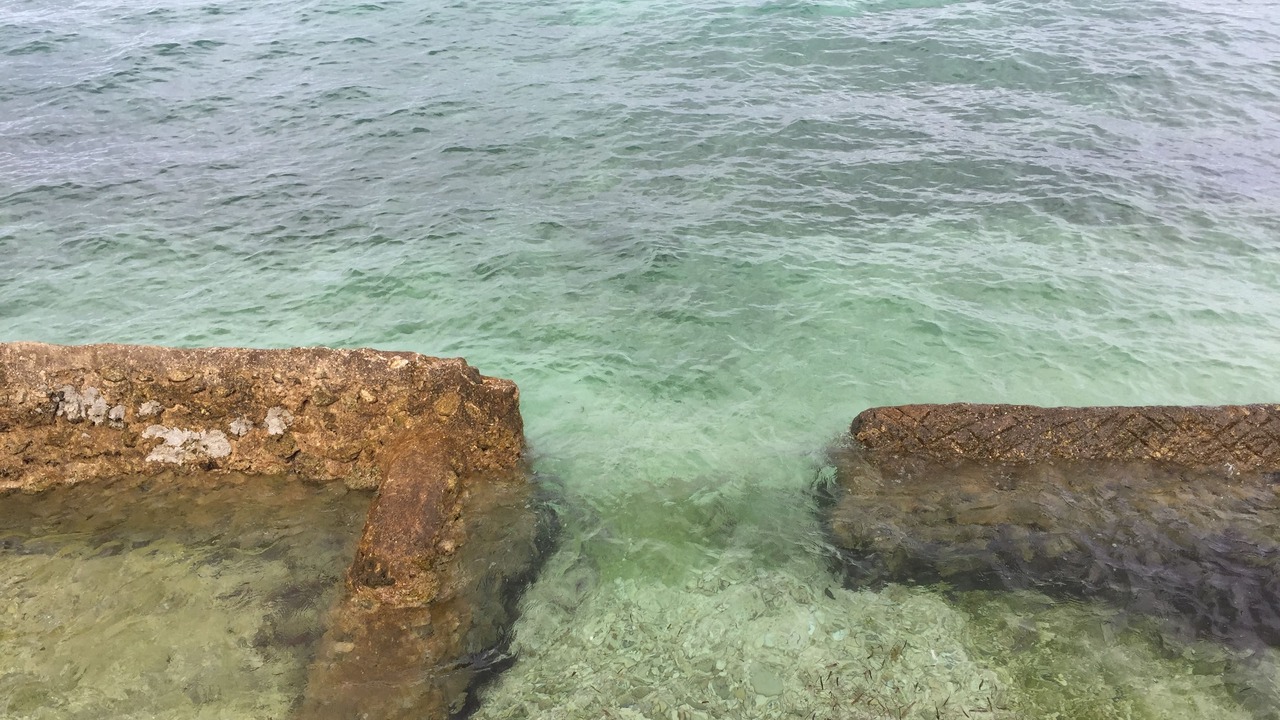 Photo of Others in Oslob