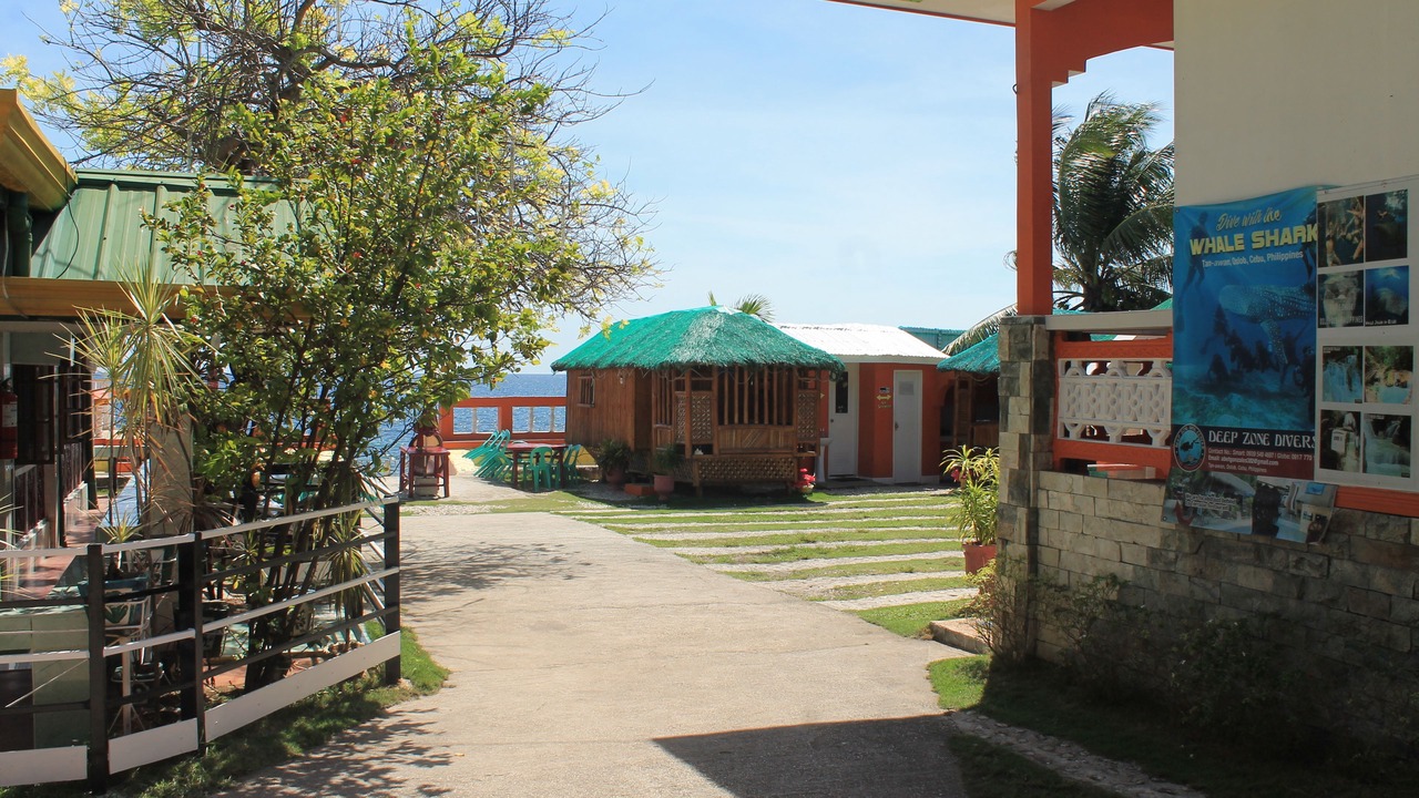 Photo of Others in Oslob