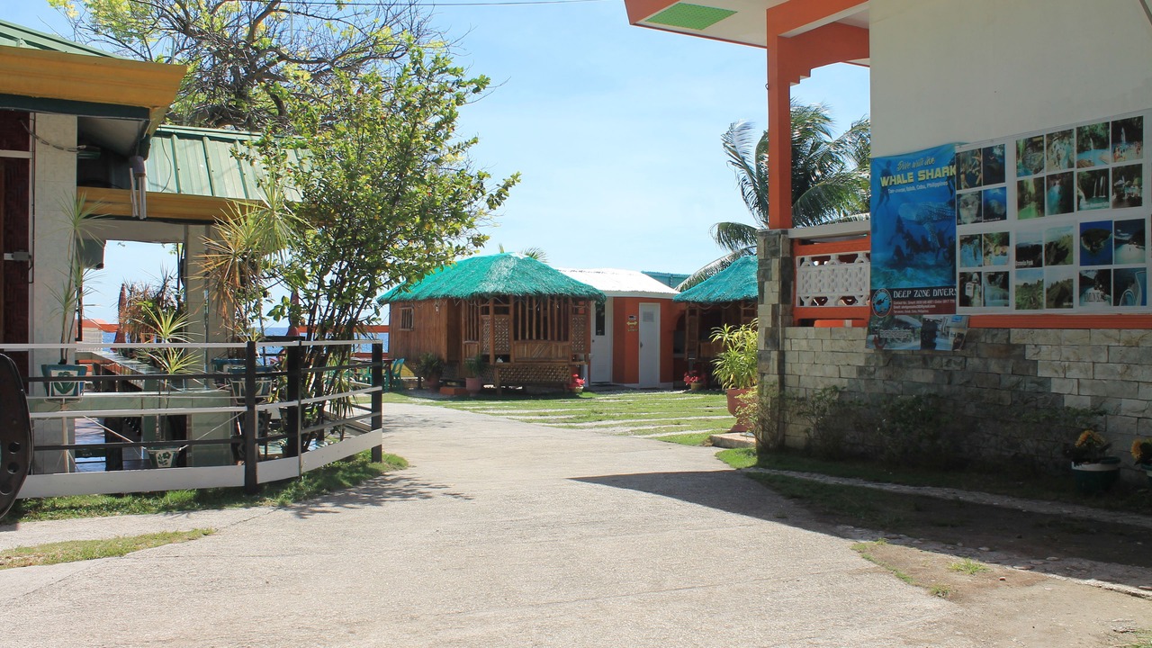 Photo of Others in Oslob