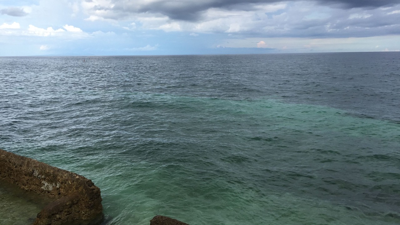 Photo of Others in Oslob