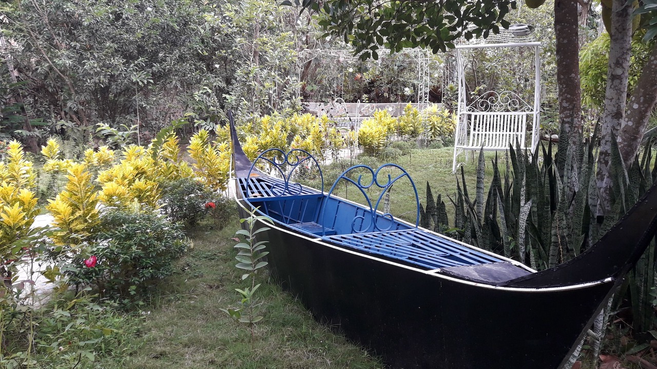 Photo of Outdoor in Sara